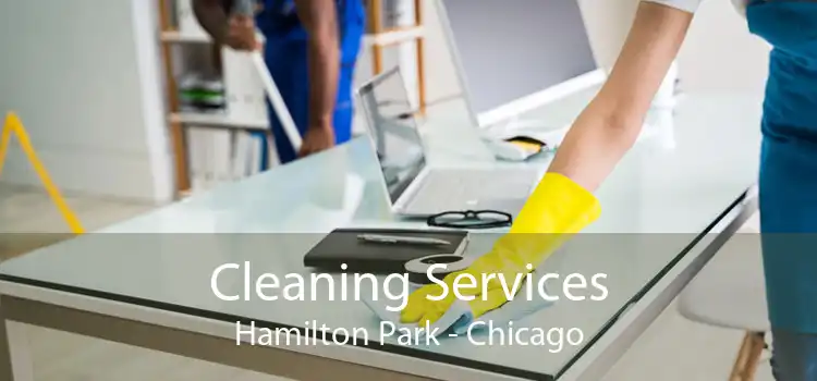 Cleaning Services Hamilton Park - Chicago