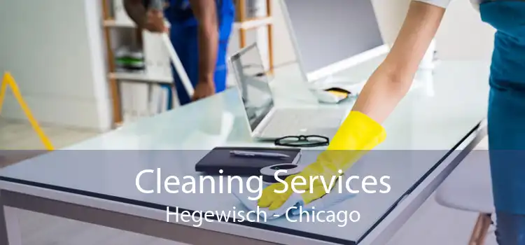Cleaning Services Hegewisch - Chicago