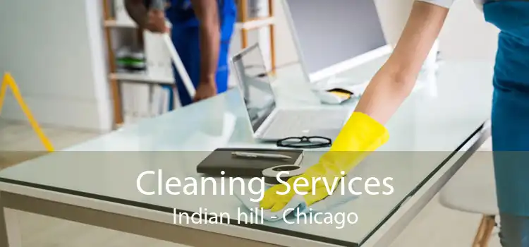 Cleaning Services Indian hill - Chicago