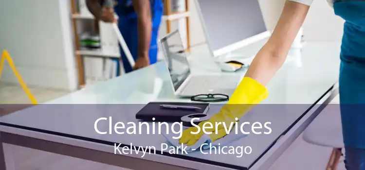 Cleaning Services Kelvyn Park - Chicago