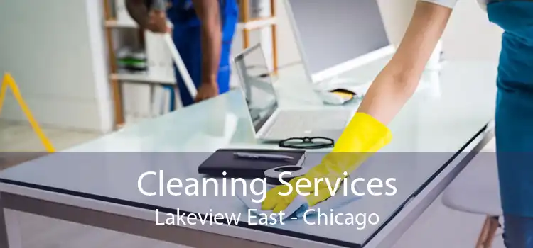 Cleaning Services Lakeview East - Chicago