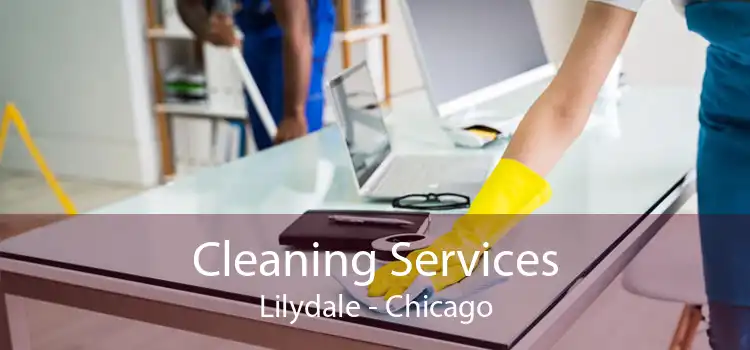 Cleaning Services Lilydale - Chicago