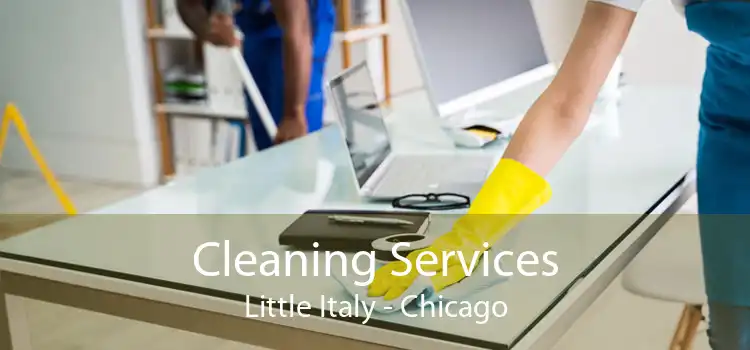 Cleaning Services Little Italy - Chicago
