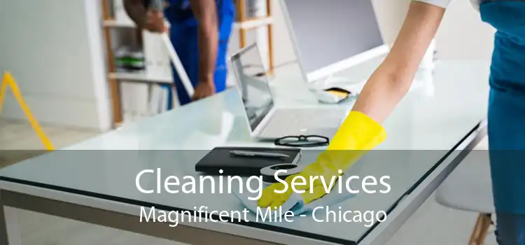Cleaning Services Magnificent Mile - Chicago