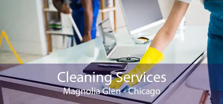 Cleaning Services Magnolia Glen - Chicago