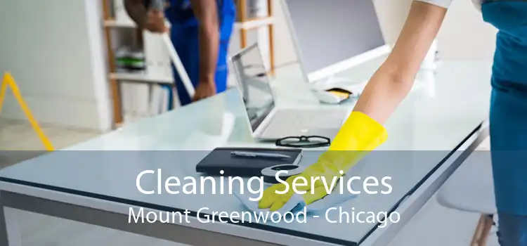 Cleaning Services Mount Greenwood - Chicago