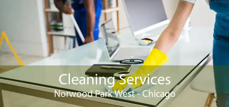Cleaning Services Norwood Park West - Chicago
