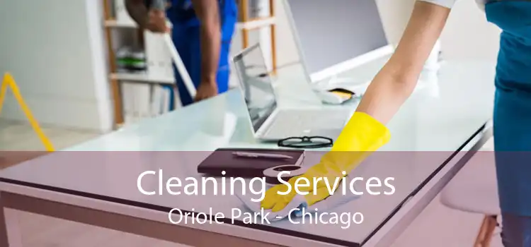 Cleaning Services Oriole Park - Chicago