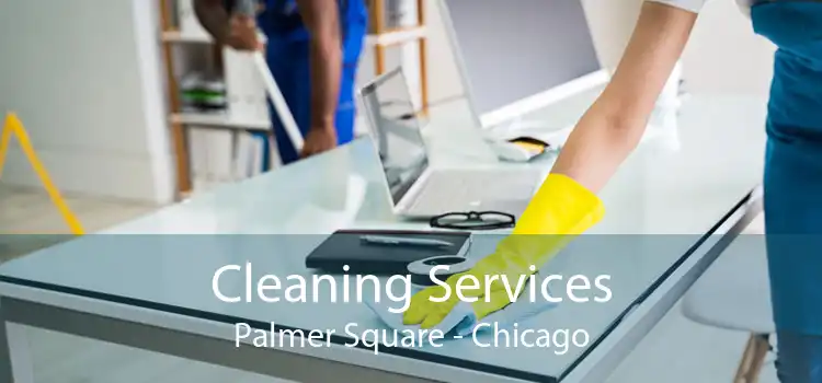 Cleaning Services Palmer Square - Chicago