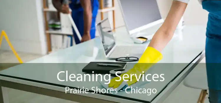 Cleaning Services Prairie Shores - Chicago