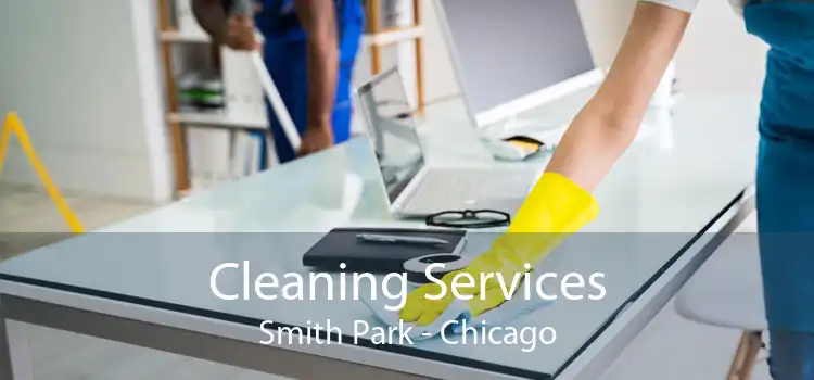 Cleaning Services Smith Park - Chicago