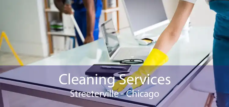 Cleaning Services Streeterville - Chicago