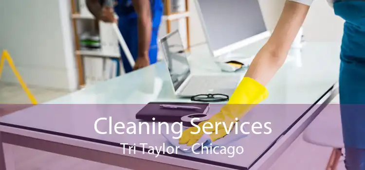 Cleaning Services Tri Taylor - Chicago