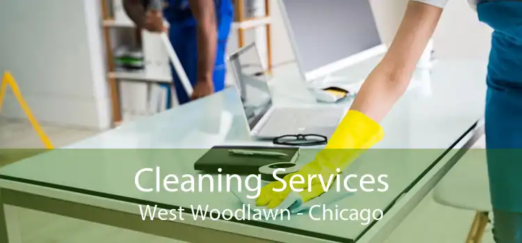 Cleaning Services West Woodlawn - Chicago