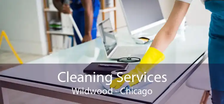 Cleaning Services Wildwood - Chicago