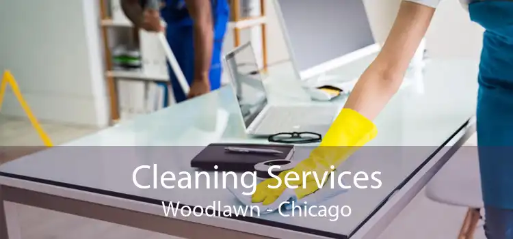 Cleaning Services Woodlawn - Chicago