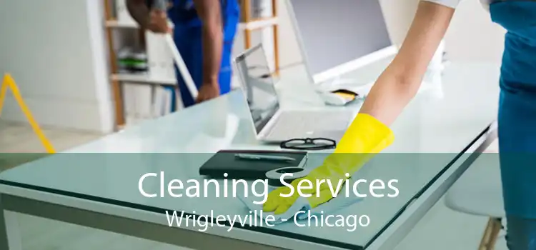 Cleaning Services Wrigleyville - Chicago