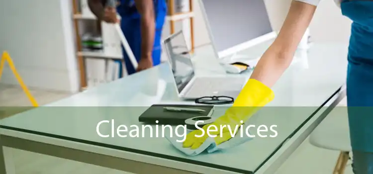 Cleaning Services 