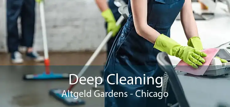 Deep Cleaning Altgeld Gardens - Chicago
