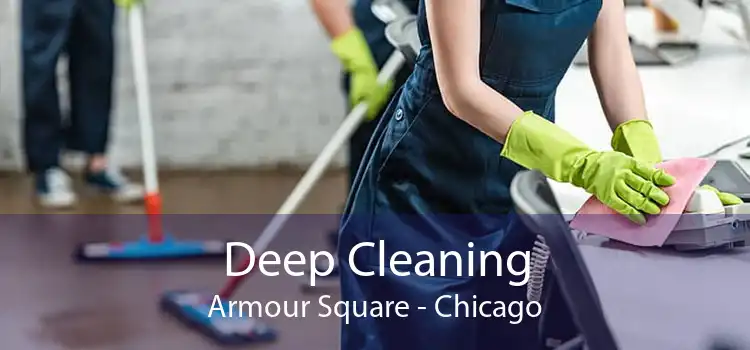 Deep Cleaning Armour Square - Chicago