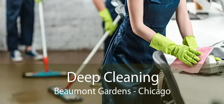Deep Cleaning Beaumont Gardens - Chicago