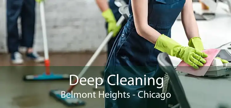 Deep Cleaning Belmont Heights - Chicago
