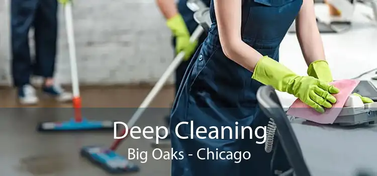 Deep Cleaning Big Oaks - Chicago