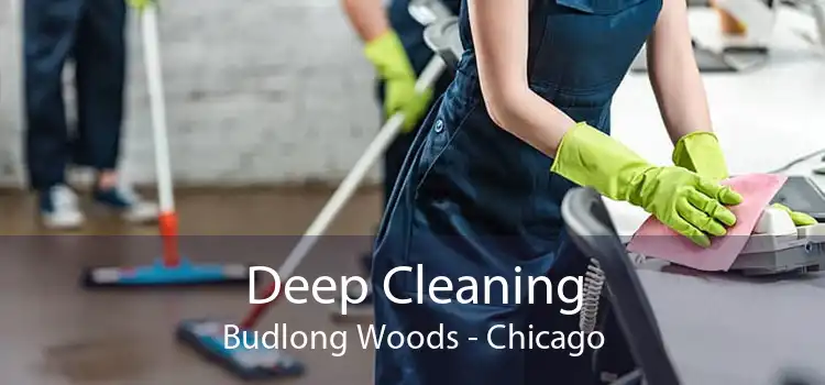 Deep Cleaning Budlong Woods - Chicago