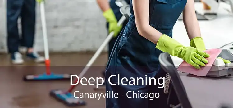 Deep Cleaning Canaryville - Chicago