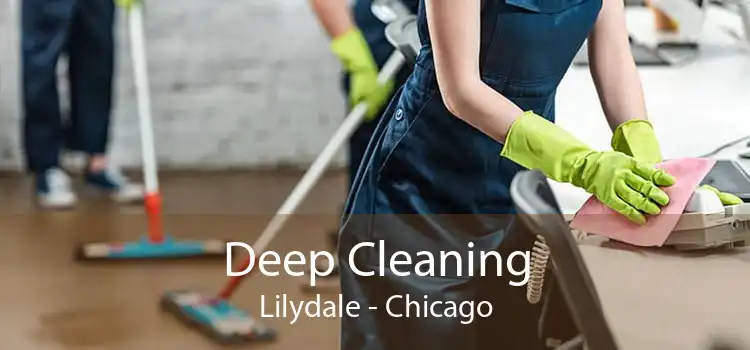 Deep Cleaning Lilydale - Chicago