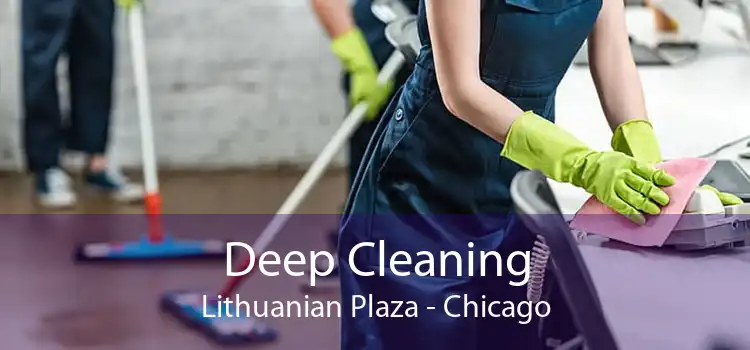 Deep Cleaning Lithuanian Plaza - Chicago
