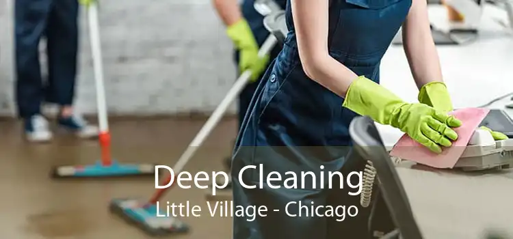 Deep Cleaning Little Village - Chicago