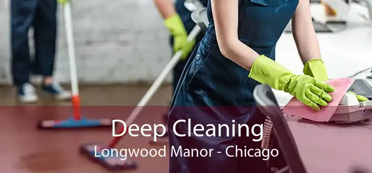 Deep Cleaning Longwood Manor - Chicago