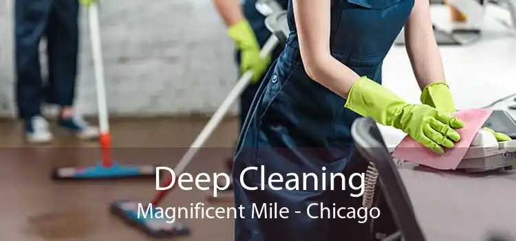 Deep Cleaning Magnificent Mile - Chicago