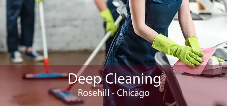 Deep Cleaning Rosehill - Chicago
