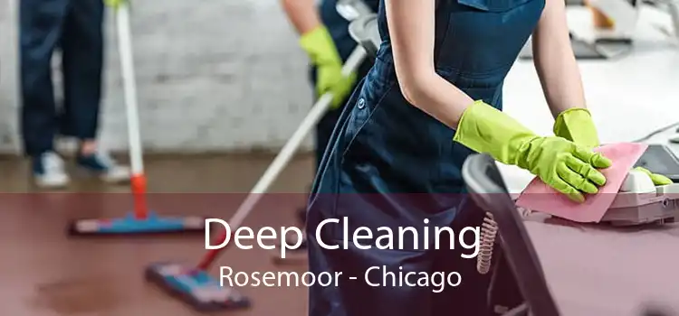 Deep Cleaning Rosemoor - Chicago