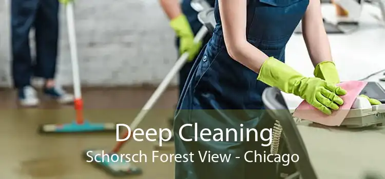 Deep Cleaning Schorsch Forest View - Chicago