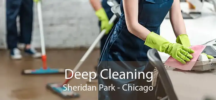 Deep Cleaning Sheridan Park - Chicago