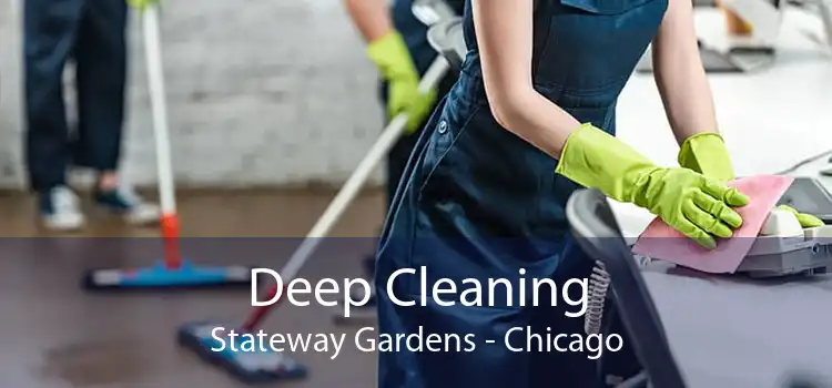 Deep Cleaning Stateway Gardens - Chicago