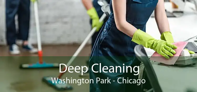 Deep Cleaning Washington Park - Chicago