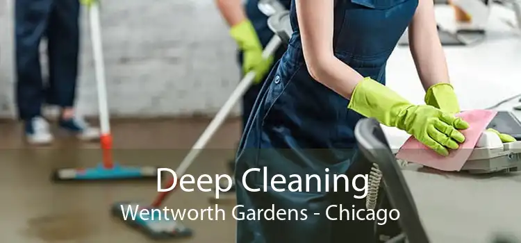 Deep Cleaning Wentworth Gardens - Chicago