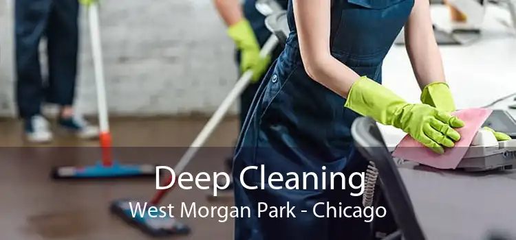 Deep Cleaning West Morgan Park - Chicago
