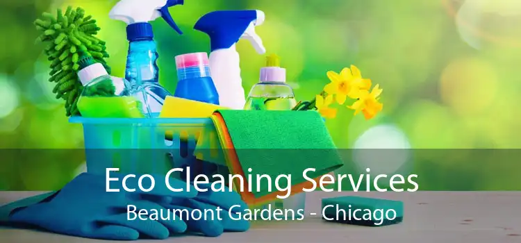Eco Cleaning Services Beaumont Gardens - Chicago