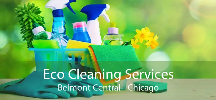 Eco Cleaning Services Belmont Central - Chicago