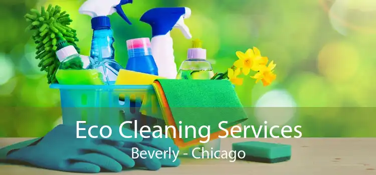 Eco Cleaning Services Beverly - Chicago