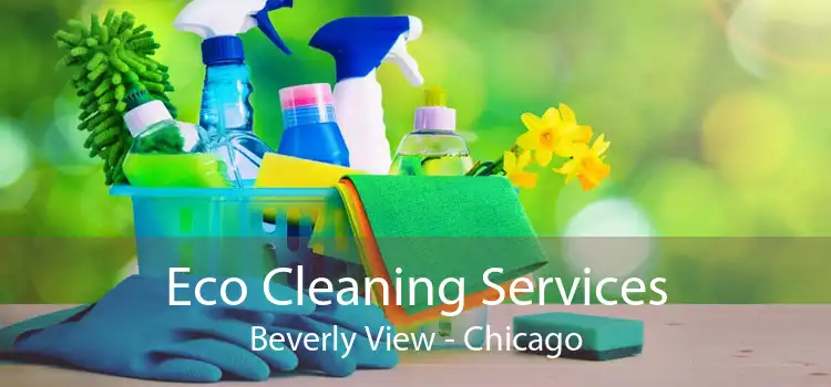 Eco Cleaning Services Beverly View - Chicago