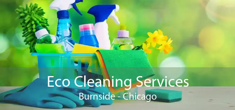 Eco Cleaning Services Burnside - Chicago