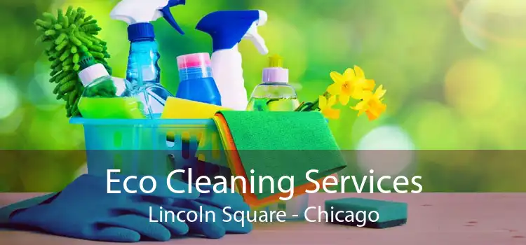 Eco Cleaning Services Lincoln Square - Chicago