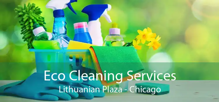 Eco Cleaning Services Lithuanian Plaza - Chicago