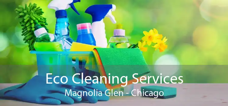 Eco Cleaning Services Magnolia Glen - Chicago